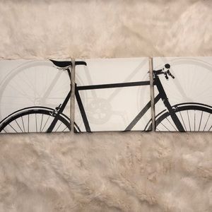 Bicycle Canvas Trio